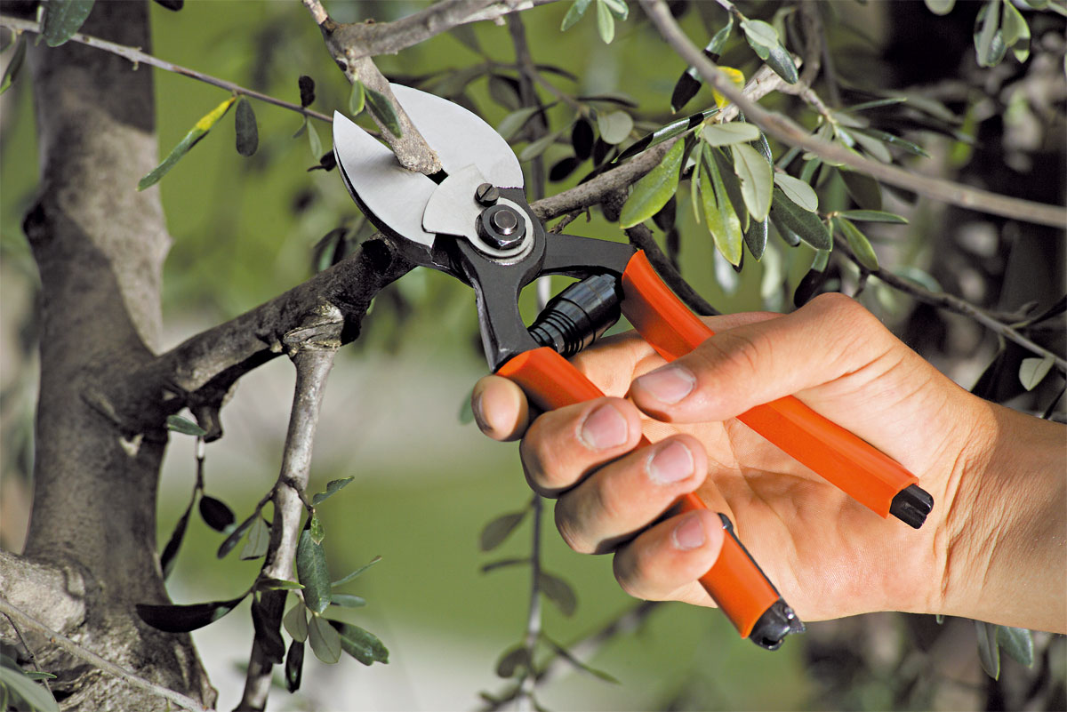 Tree Pruning Gadgets: What You Must Have